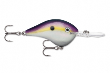 BIG SHAD